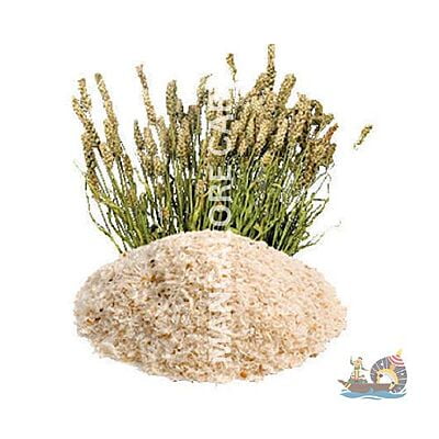 Isabgol- 50g