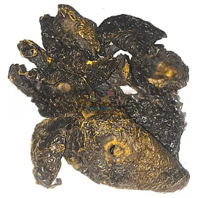 Dried Jarige Puli | Anavya | Dhanambe | Mysore Gamboge- 200g