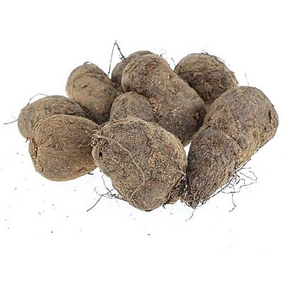 Koorka | Chinese Potato- 1kg